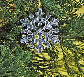 Beispielbild | Foto: www.pixabay.com