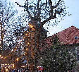 Weihnachtsmarkt an der Kirche Cattenstedt | Foto: Ines Görtz