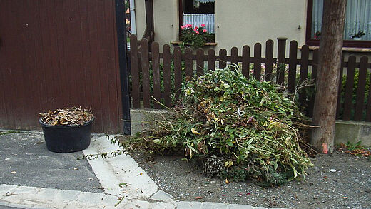 Fotografin: Heide Wonneberg