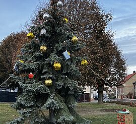Weihnachtsbaumschmücken in Timmenrode | Foto: Annika Duckek