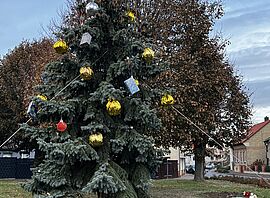 Weihnachtsbaumschmücken in Timmenrode | Foto: Annika Duckek